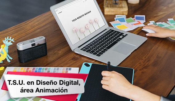 Da click en la imagen para saber más